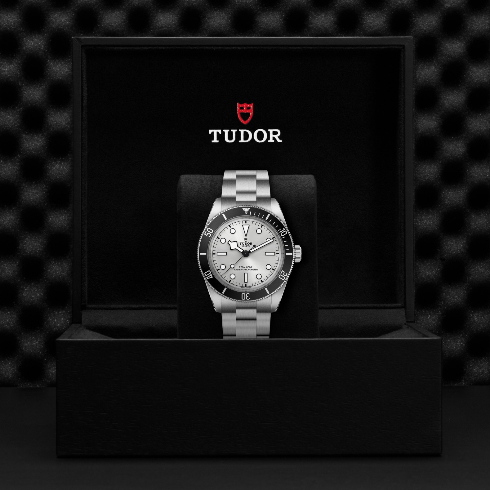 TUDOR | Black Bay | M7943A1A0NU-0002 | Maison Birks